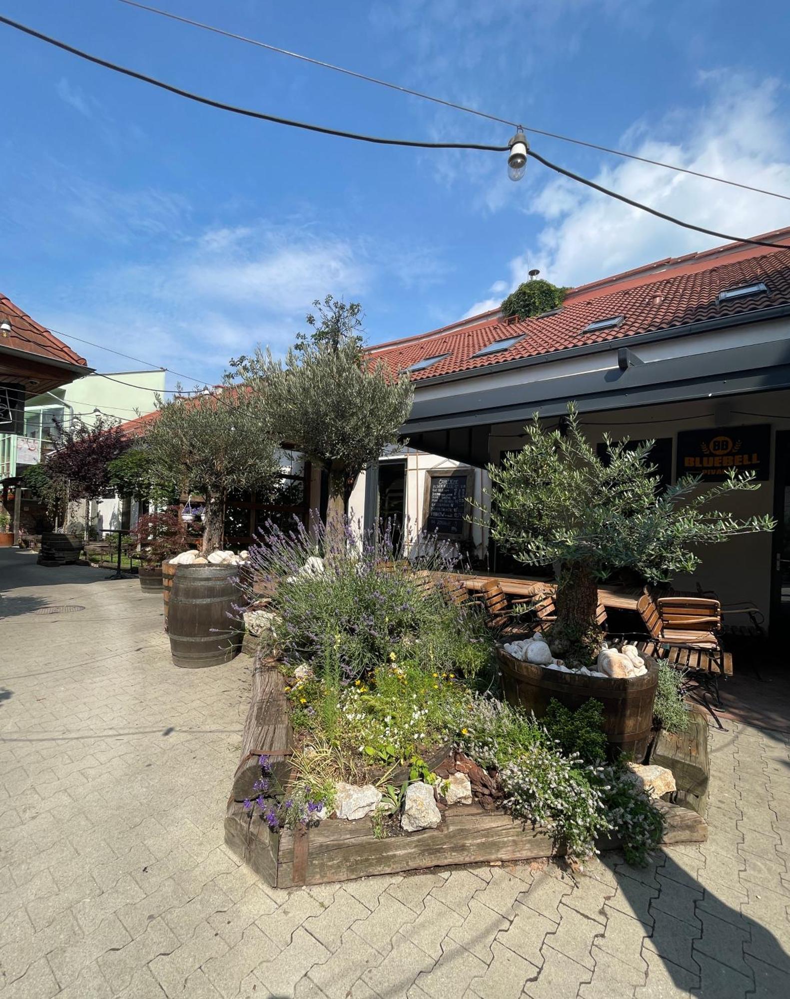 Blue Bell Penzión Košice Exterior foto